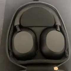 Item thumbnail for item 39465870-6974-4577-b727-146a90d6fab4