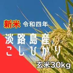 新米 令和4年産 コシヒカリ 玄米30キロ 淡路島産 精米小分け可 30kg