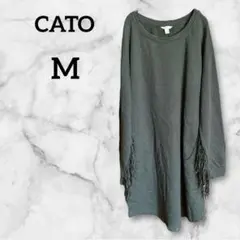 Item thumbnail for item 83562262-f962-47d7-b589-8ccdd41d5020