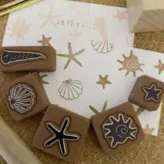 貝殻 シェルセット　消しゴムはんこ