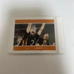 ハイキュー　ゴミ捨て場の決戦　ぱしゃこれ　菅原孝支　山口忠