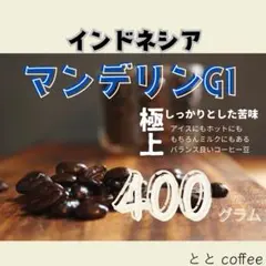 自家焙煎　珈琲豆　マンデリン　400g