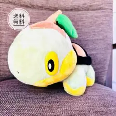 8月限定値下げ ポケモン ナエトル プライス限定景品
