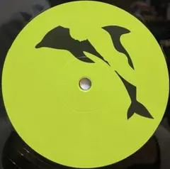 新品未開封 Laurel HaloATLAS 限定アナログ盤 レコード LP Amazon.co.jp: アナログレコードB'z RUN レコード 稲葉浩志 松本