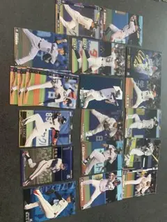 カルビープロ野球チップス（東京ヤクルトスワローズ）カードセット