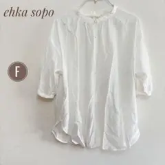 美品☆【ehka sopo】シアー ブラウス シャツ フリーサイズ