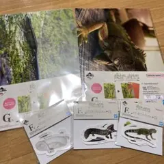 一番くじ爬虫類＆両生類 F賞 3点 G賞 2点