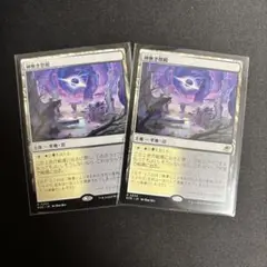 神無き祭殿　日本語　２枚