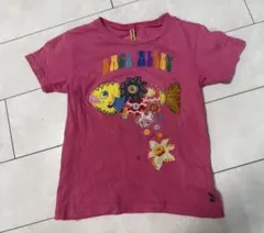 バックアレイ　お魚Ｔシャツ　120
