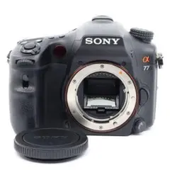 Item thumbnail for item b5f88279-af89-4e58-ba65-db26e644b75a