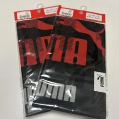 Item thumbnail for item ffdf2a64-a77f-4242-a53b-86d9aacece22