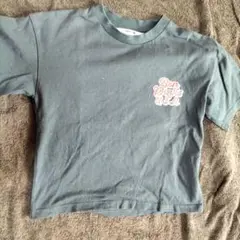 Item thumbnail for item 00f1a109-4579-459d-941a-77d86c2bd23b