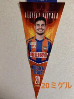 アルビレックス新潟　ガラポン　ペナント　20ミゲル