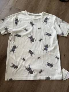 新品！インセクトコレクション　Tシャツ　昆虫　クワガタ　大人サイズ　S