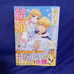 婚約者が明日、結婚するそうです。 3《最新》