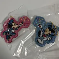 ディズニーリゾート　ミッキー　ミニー　ワッペン　バッジ　パルパルーザ