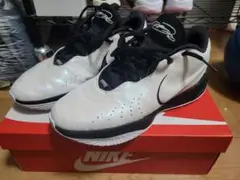 Item thumbnail for item 2f3ef153-40c9-4a43-bac6-d69cef5f6b72