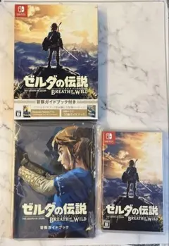 ゼルダの伝説 ブレス オブ ザ ワイルド ～冒険ガイドブック付き～