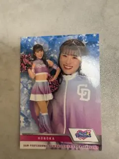 Item thumbnail for item da872026-0382-4f53-96b0-acaa38d0b26d