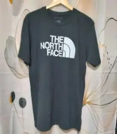 ザ・ノース・フェイス プリントロゴTシャツ