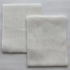 Item thumbnail for item 875d1e3c-3ddd-4528-9c3c-984801286870