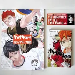 ハイキュー　カメイアリーナ パンフレット　ラストマッチ ステッカー　33.5巻