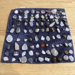 パワーストーン・生物の牙