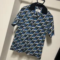 Item thumbnail for item 31e191e9-c364-437b-894f-43390e2d8f11