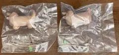 いい感じの棒をゲットした犬