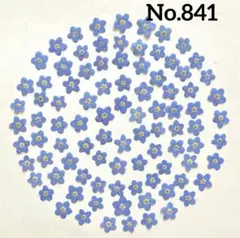 押し花素材　No.841 忘れな草約90枚