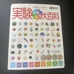 実験おもしろ大百科