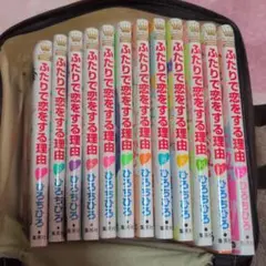 ふたりで恋をする理由 全12巻セット