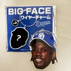 BIG FACE ワイヤーチャーム 中日 ドラゴンズ カリステ