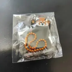 graniph イカク　アクリルスタンドキーホルダー
