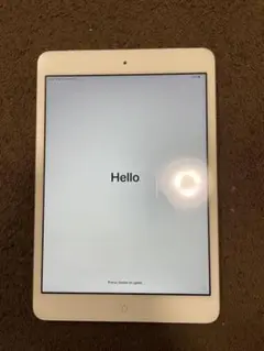 iPad mini2