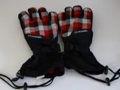DAKINE スノーグローブ