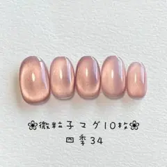 【即購入ok・チップ変更可能】マグネットネイルチップ　ニュアンス　四季34
