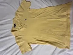 Item thumbnail for item 0b8007f7-2a34-403a-b324-b945ab3a4f12