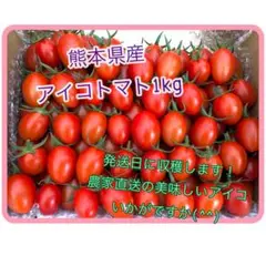 熊本県産アイコトマト1kg