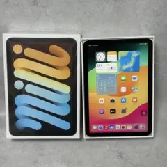 iPad mini 第6世代 ゴールド 美品