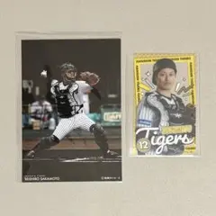 ◎ 坂本誠志郎