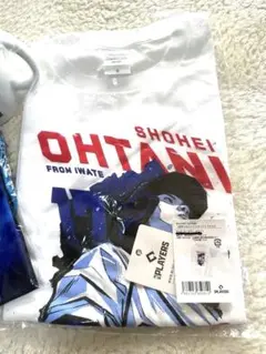 大谷翔平応援グッズ希少品岩手だけLサイズ　盛岡限定デザイン tシャツ&ステッカー 大谷翔平応援グッズ希少品岩手だけLサイズ 盛岡限定デザイン t