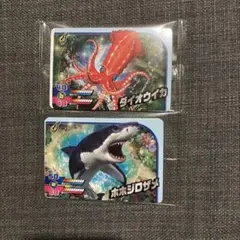 ダイオウイカ・ホホジロザメ 釣りスピリッツカードセット