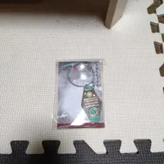 Item thumbnail for item acccd45f-9491-4b2d-9878-75193e6d590e