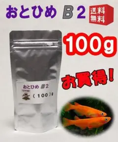 めだか の 餌 エサ◇おとひめ B2 100g◇メダカ の えさ◇喰い付き抜群②