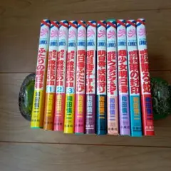 ふたりの関係 全12巻セット