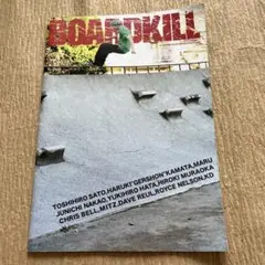 BOARDKILL 2010 ISSUE #17