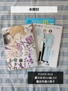 BL本　針鼠とコントラスト②　8月新刊