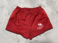 スーパーラグビー　レッズ　ラグパン