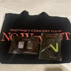 WayV 威神V 2025 NOWayOUT プレミアムシート アプグレ 特典